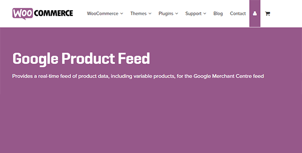 Google Product Feed Extension