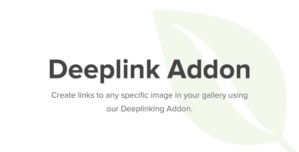 Envira Gallery Deeplinking Add-On