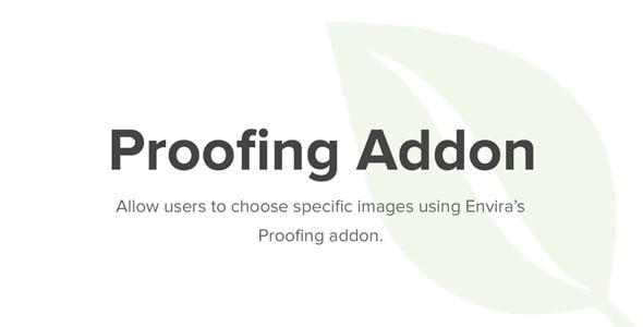 Envira Gallery Proofing WordPress Plugin