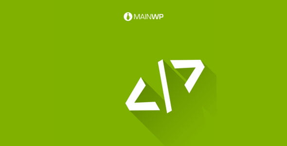 MainWP Code Snippets Extension