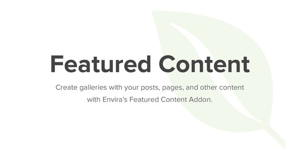 Envira Gallery Featured Content