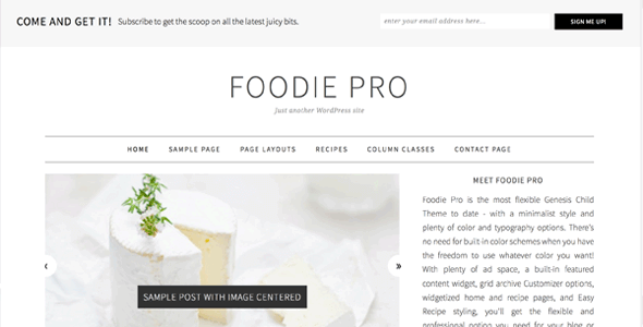 StudioPress Foodie Pro Genesis